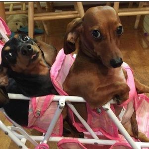 Meet your Posher, Cathy